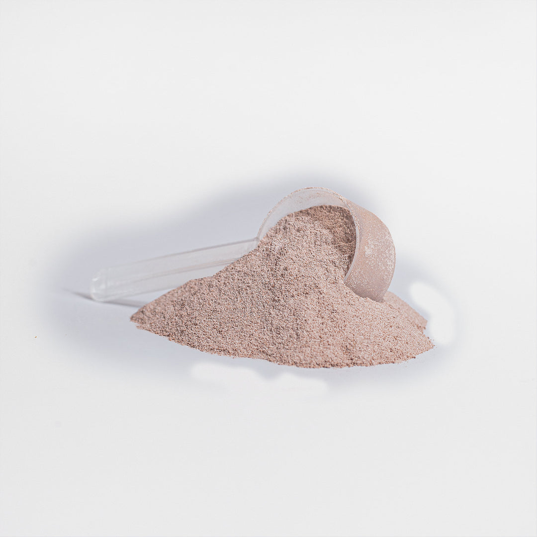 Plant Protein-Vanilla